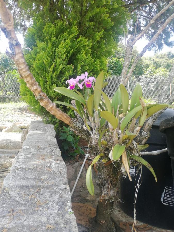 - Piscina La Johanna * La Mesa (Tequendama)