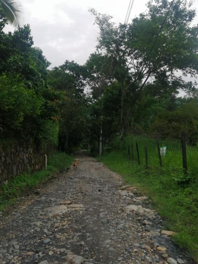 - Piscina La Johanna La Mesa (Tequendama)